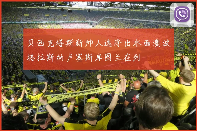 贝西克塔斯新帅人选浮出水面澳波格拉斯纳卢塞斯库图兰在列