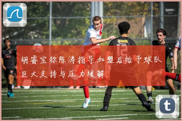 胡睿宝称陈涛指导加盟后给予球队巨大支持与压力缓解